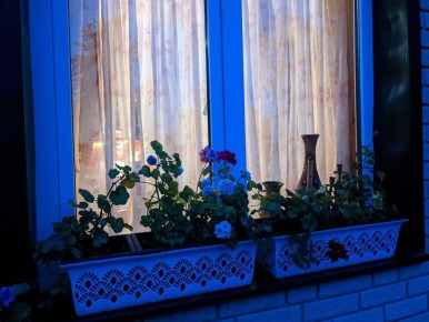 ��� ����� ����������� ����� ���������� ��������� ������������� �����������