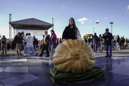 ���� ��������� ����� � �������������