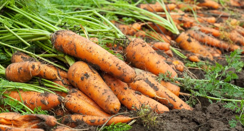 ������ ��������� �������: ����� � ��� ��������� �����������