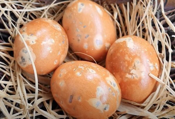 ��� �������� ���� � ����� � ������� ������� � ����������� ����������