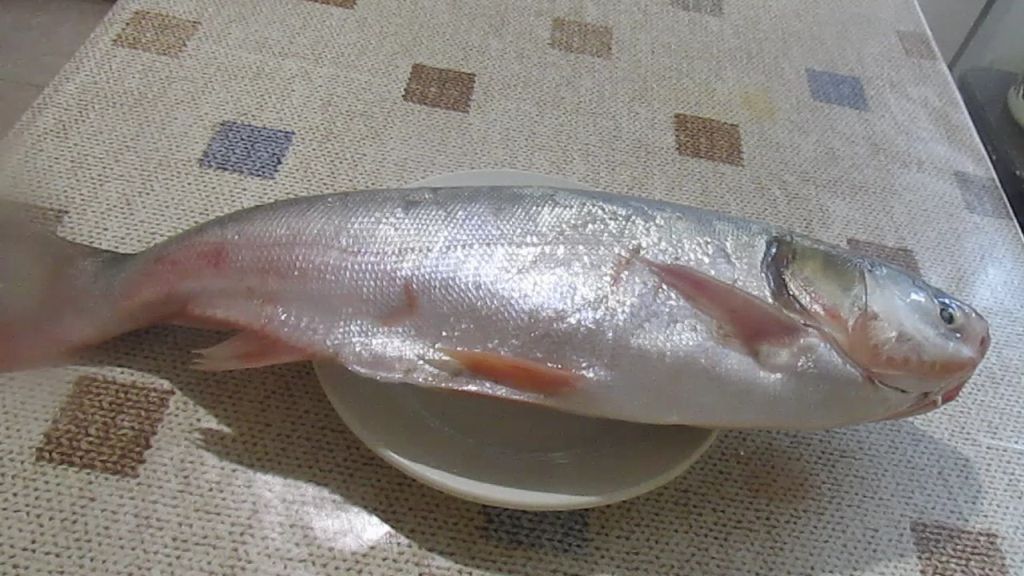 ��� ���������� ������������ ���, ����� ���� ���������� ������