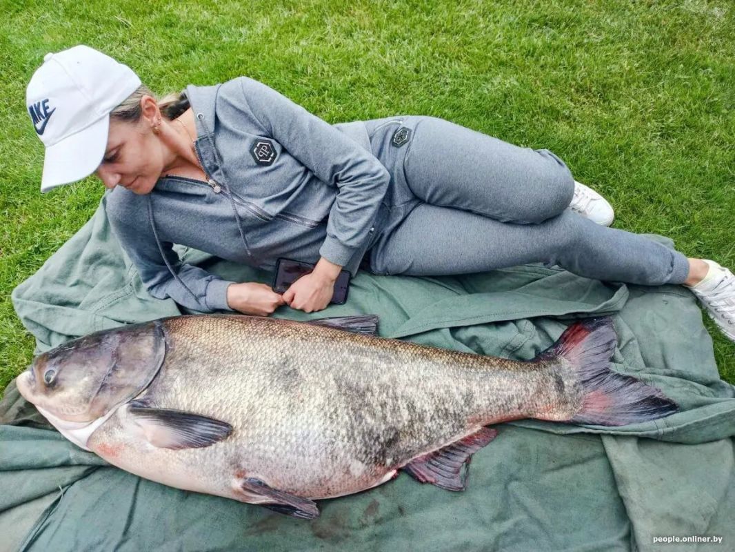 Речная звезда: толстолобик с морскими качествами