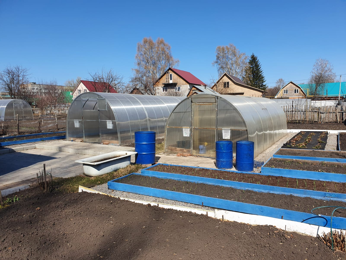 Садовые секреты: неожиданные риски органических удобрений, о которых стоит знать каждому огороднику