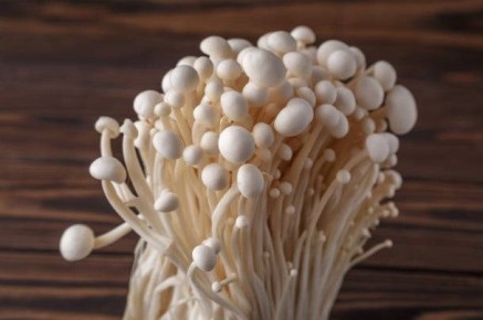 Эноки: маленькие грибы, изменяющие гастрономический ландшафт