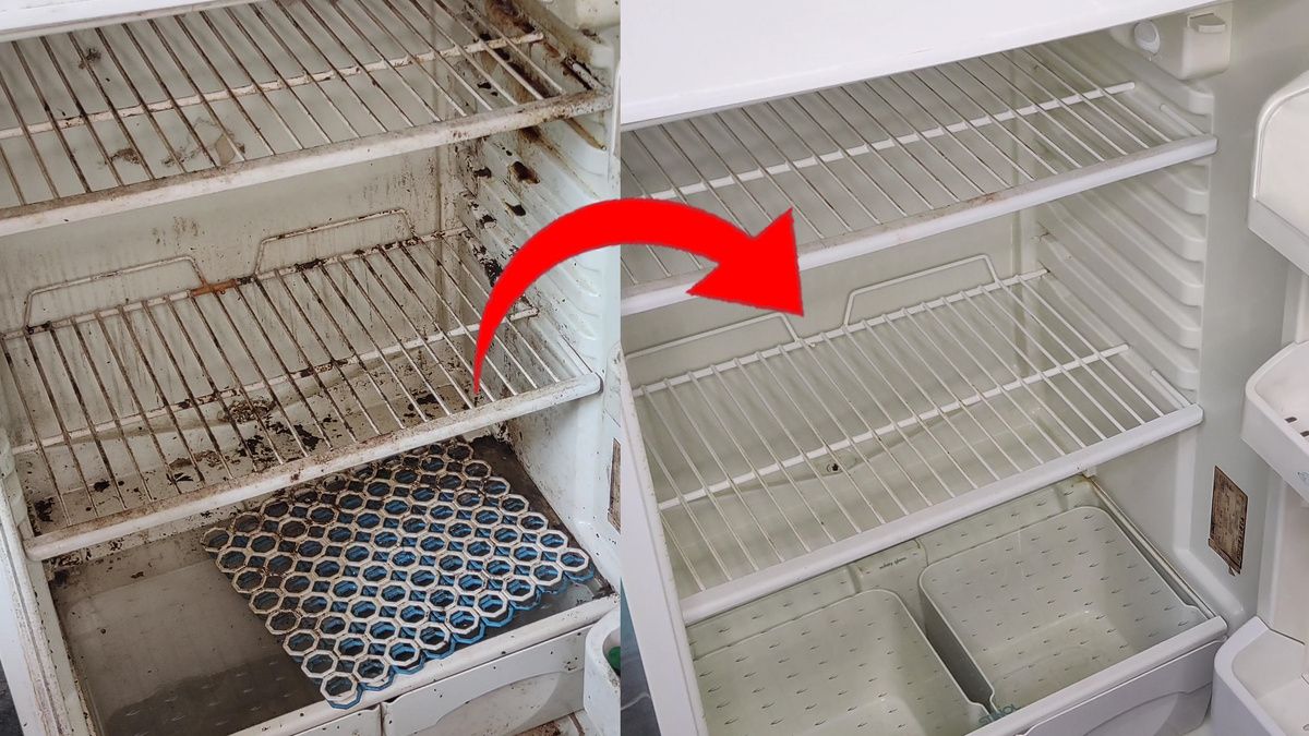 Пошаговое руководство по очищению холодильника