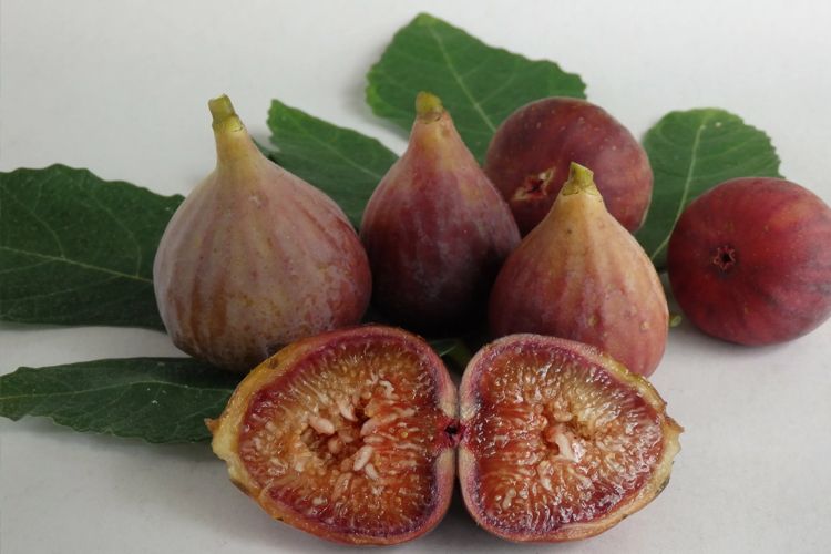 ��� ������� ����� ��� �������� �������: 20 ������ ������