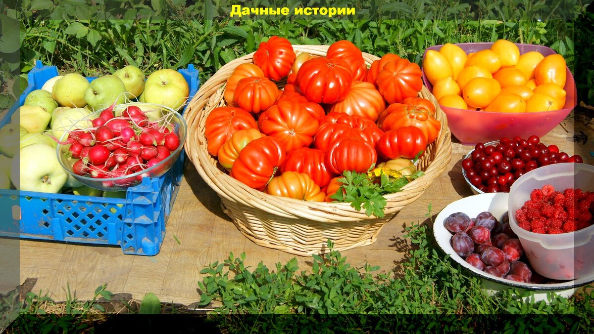 Как вырастить вкусные овощи: секреты избавления от горечи и водянистости