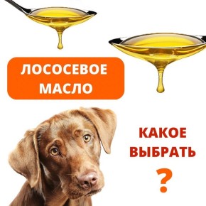 Как выбрать лососевое масло для питомца и не ошибиться