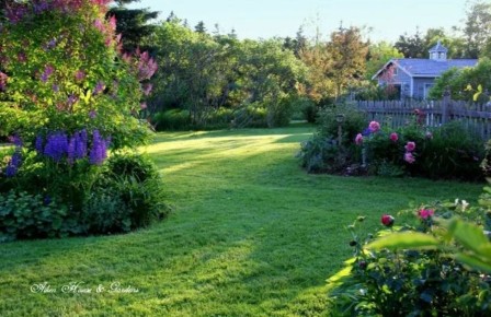 ����� ���� ���� ������: ������� ������ �� ������ ����