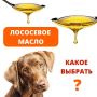 Как выбрать лососевое масло для питомца и не ошибиться