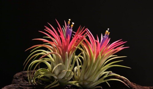 ��������� ��������� ��������, ������� �� ��������� � �����: ��������� ����� ��� ���������� �������� ���������