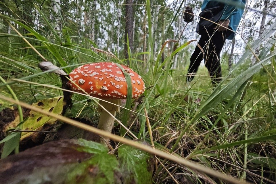 �������� � ����: ������� ��������� ������ ������� ����� �����