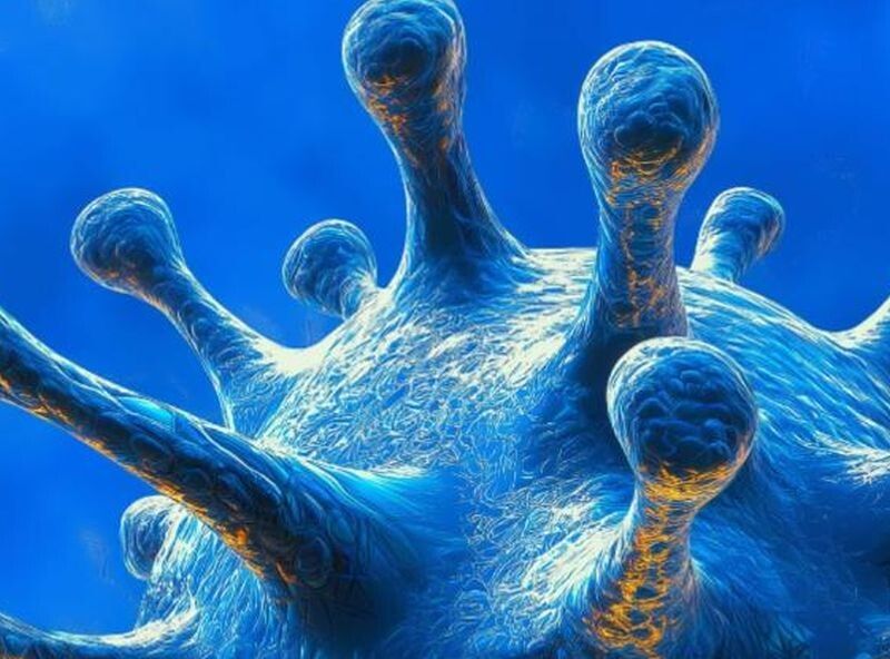 ������� ����� ����� � ������������ ��������� ����: ��� ����� �����