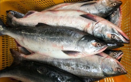 ������� �������: ��� ����� ����������� ����������� ������� ����