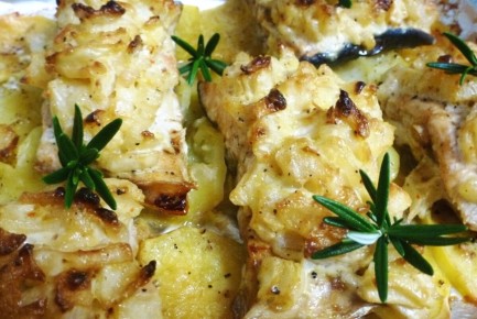 ������� ��� ������� ������: ������� � ������� ������ ��� ���� �����