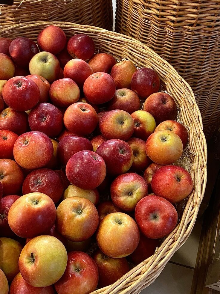 Яблоки: все, что нужно знать о плодах, сезонности и пользе