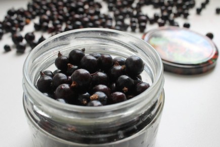 ׸���� ��������� �� ����: ���������� ������� � ������ ��������