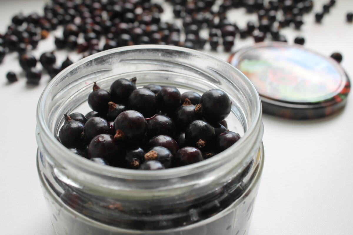 Чёрная смородина на зиму: кулинарные секреты и методы хранения