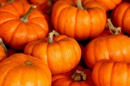 ��������� ����� �� ���������: ������� ������� ��� ���� �����