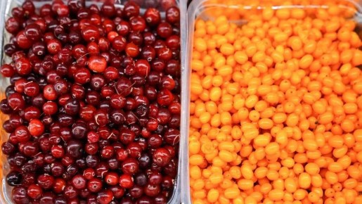 ��������, ������� ����� ������� ���� ����: ������ ���������