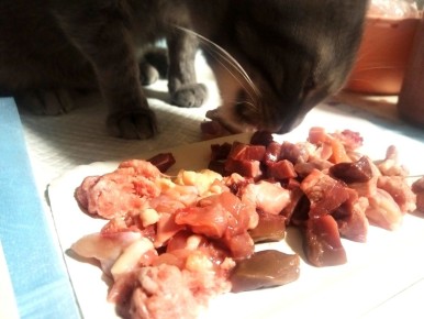 ���������������� ����� ��� ����� ��������: ����-������ ���������