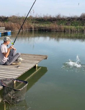 ������������ �����: ������ �� 7 ����� � ������� ���� �� �����