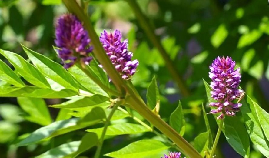 �������: ���������� �������� � ����������