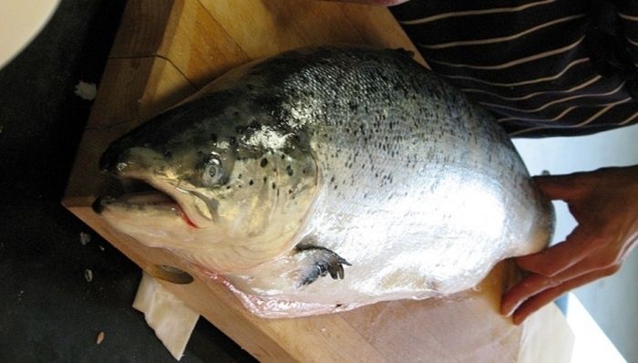 Лосось: зимний суперфуд для поддержки иммунитета и энергии