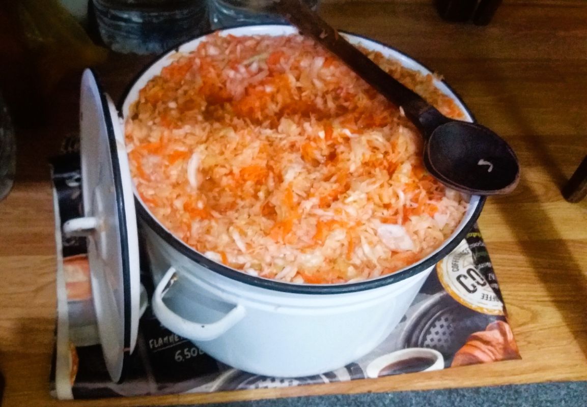 Как капуста завоевала наши сердца и столы