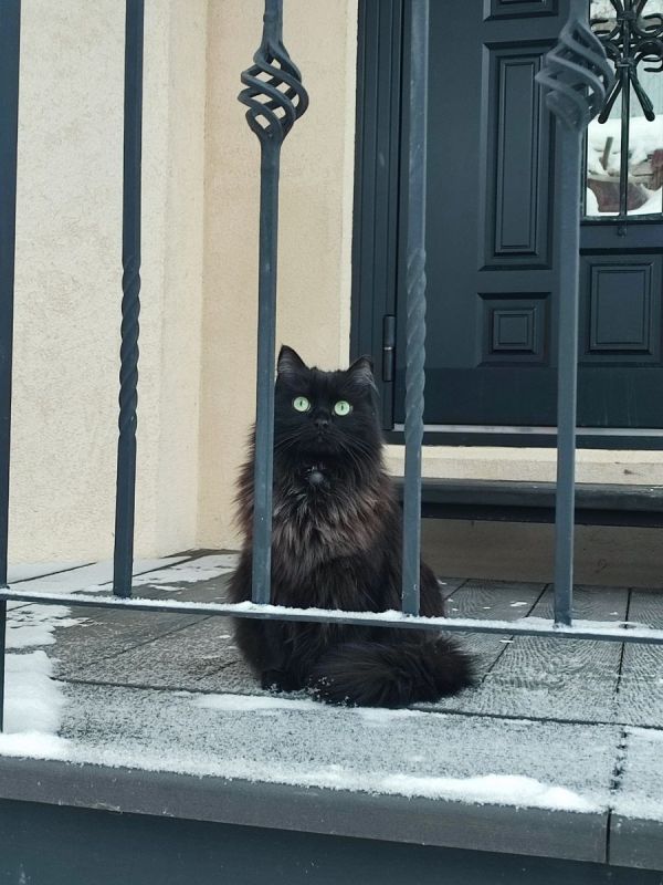 Новые кулинарные горизонты: планы по выпечке на выходные