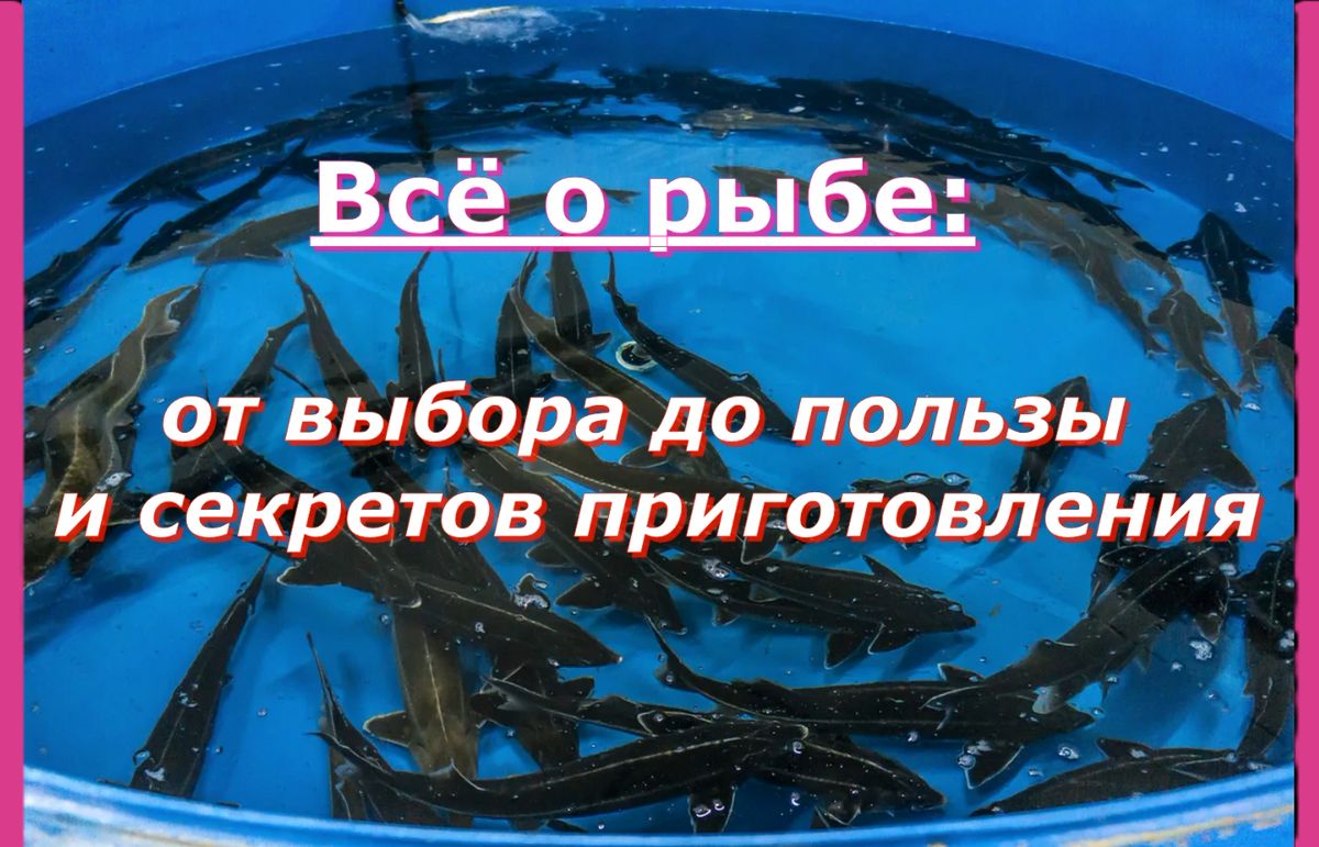 ��� ������� � ����������� ����: ������� ������, �������� � ������