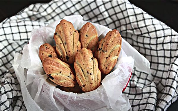 ������� ������: �������� ������ �� ����������� ���������� ������������