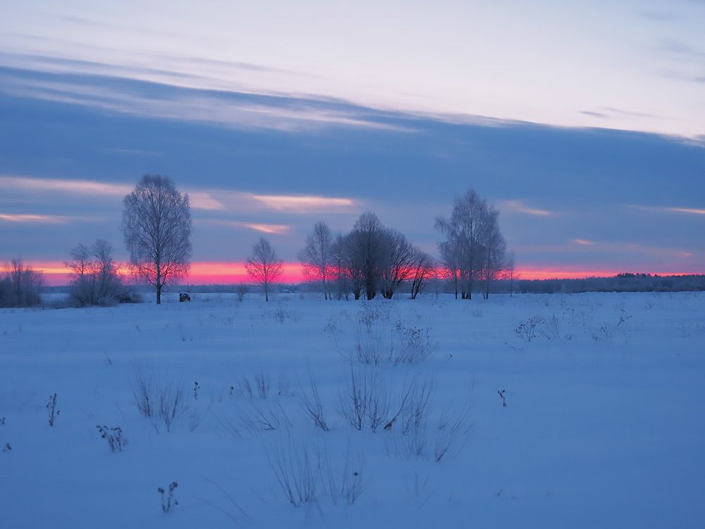 Проводы Масленицы в Дунилове: радость и зимняя магия