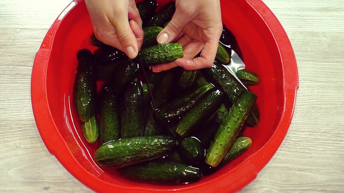 ��� ���������� ������ � ������ ��������: ���������� ������ �� ����