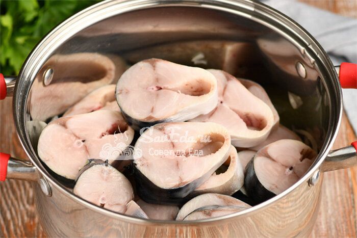 ����� ������ ������������� ��������, ������� ������ ���