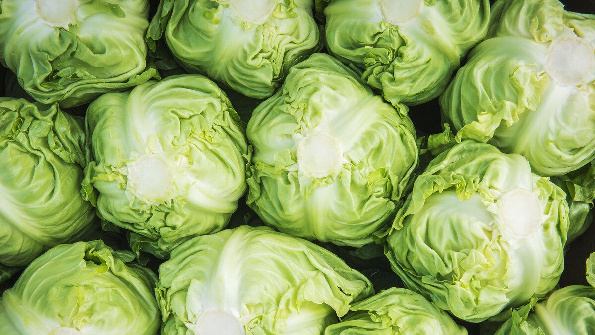 Как выбрать идеальную белокочанную капусту: советы и рекомендации