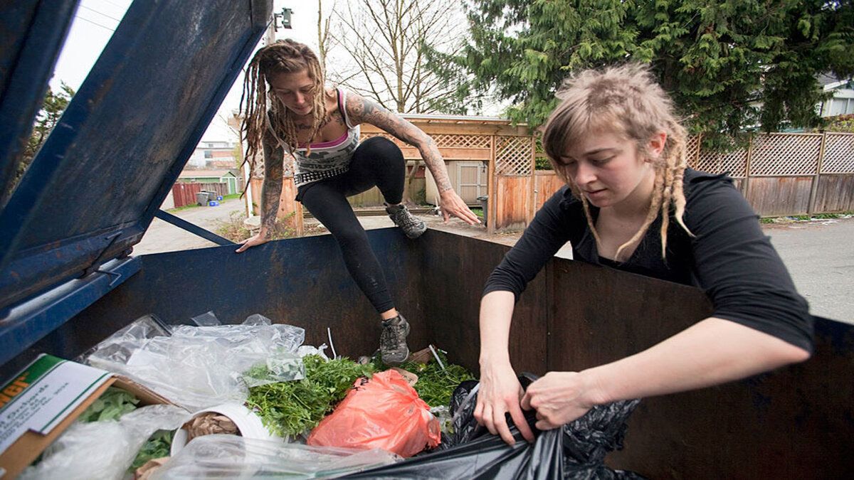 Удивительные факты о еде: от фриганов до уникального меда