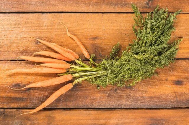 ��������� �����: �� ���� ��� � �����?