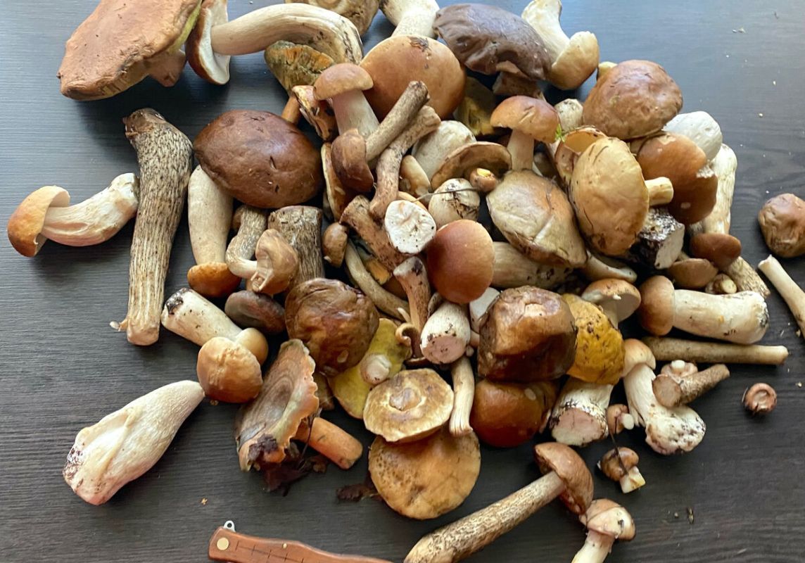 Простые шаги к идеальным маринованным грибам на зиму