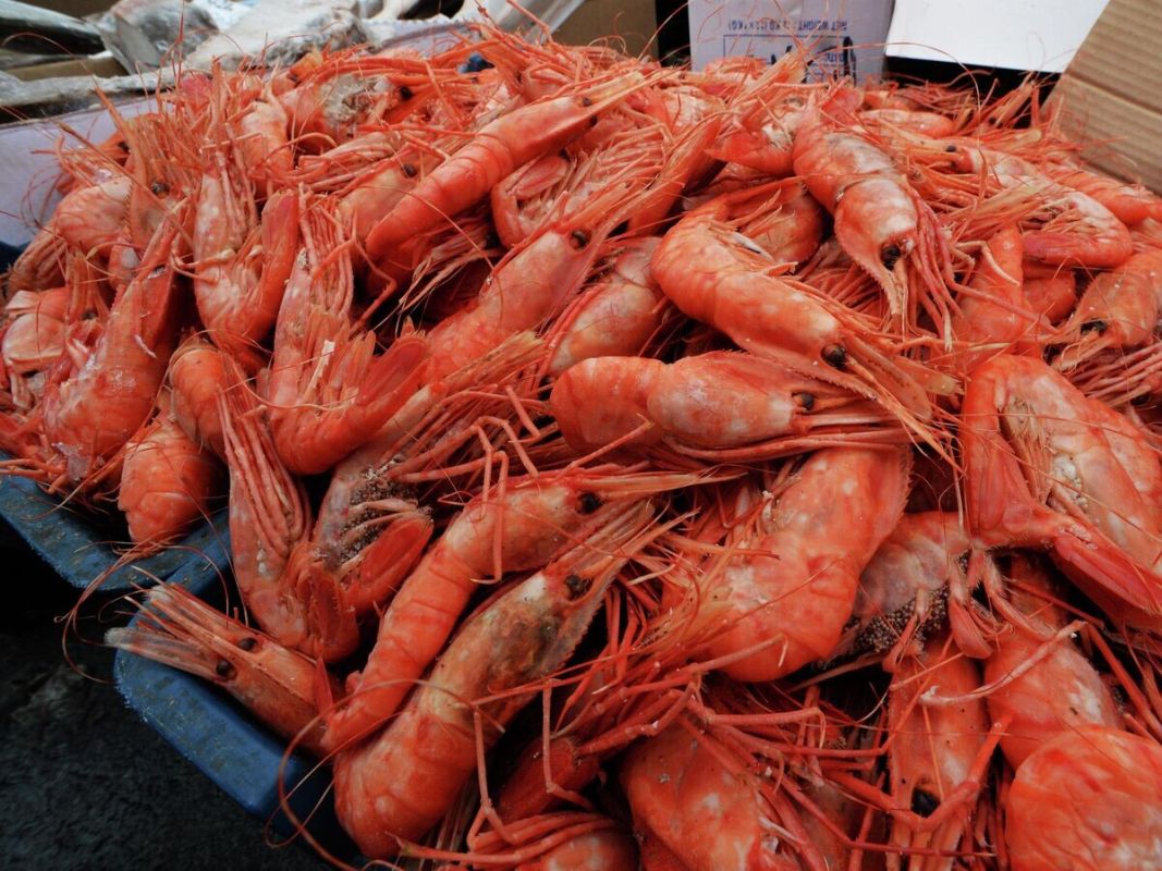 ��������: ����������� ��� �������� � ���������