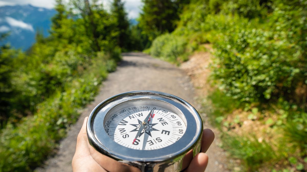 ����������: ���������� ����, ������� ����������� � ��������