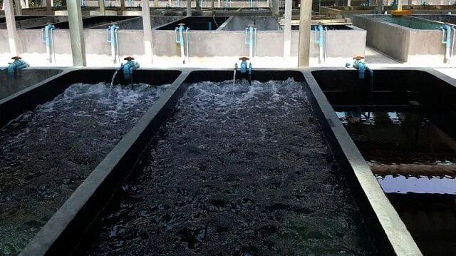 ���� ��������� ����������� ������ �� ���������� ��������