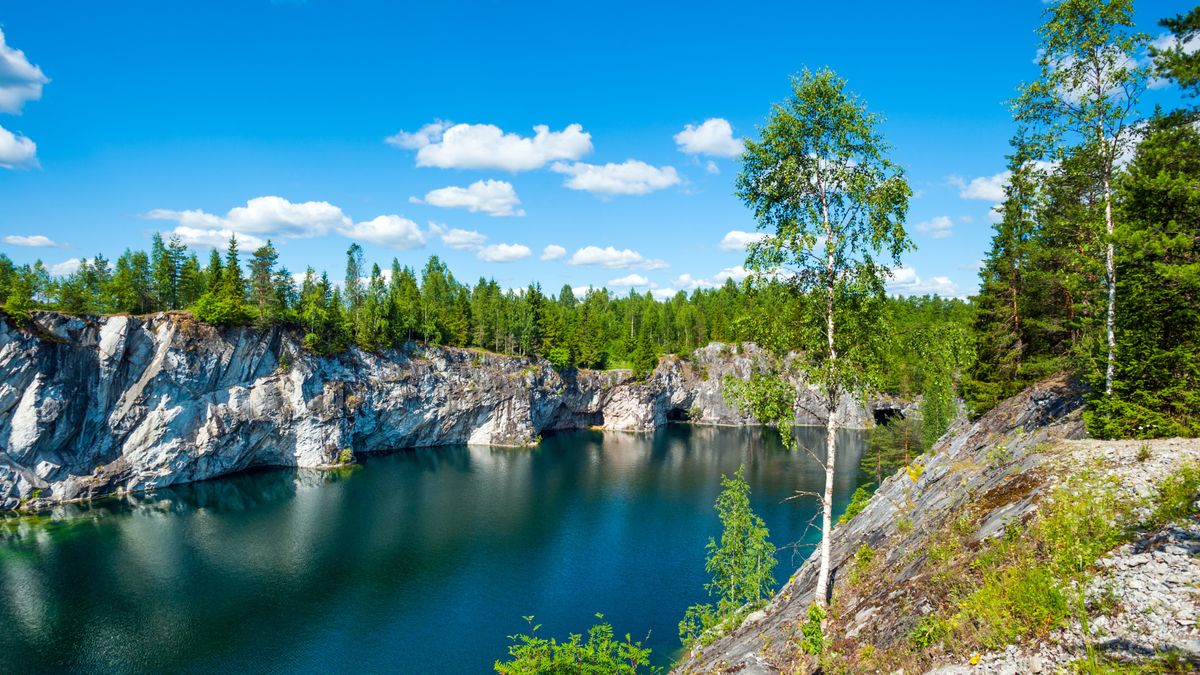 ��������� ������� ��������: ��������� ���� � ���������� �����������