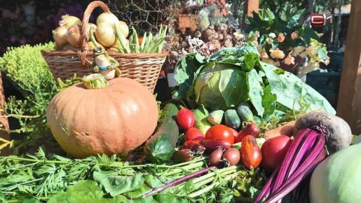 Весной выбирайте правильные фрукты и овощи для повышения энергии