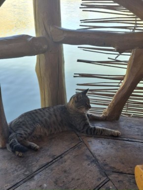 Откройте для себя Армению: на перекрестке вкуса и культуры