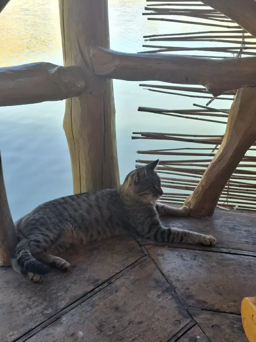 Откройте для себя Армению: на перекрестке вкуса и культуры