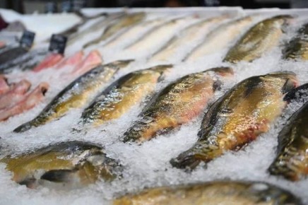 ФАС начинает исследование цен на рыбу в России
