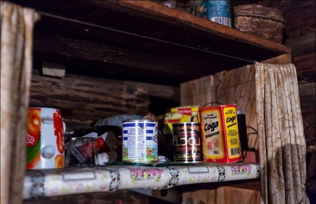 Почему медведи выбирают сгущёнку вместо тушёнки в лесных избушках?