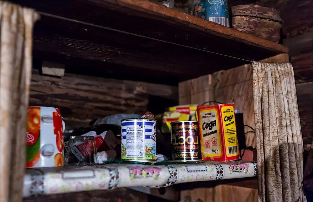 Почему медведи выбирают сгущёнку вместо тушёнки в лесных избушках?