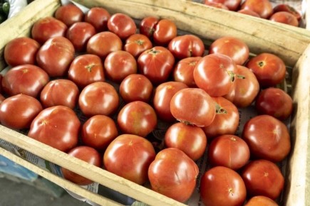 Томаты на новогоднем столе: секреты долговечного хранения